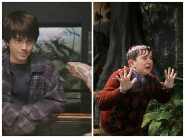 harry potter a l'ecole des sorcier. La sortie au zoo